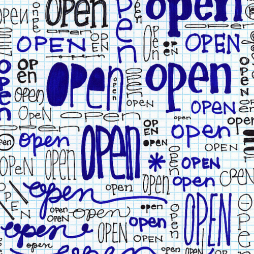 Vetting Developers: Working with contributors makes the Word a better Press