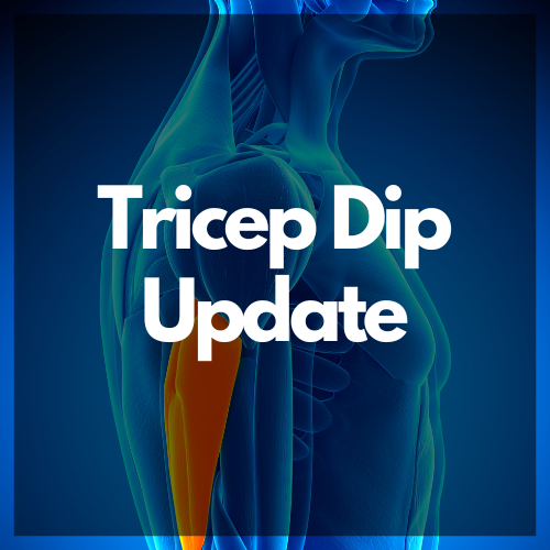 2025 Tricep Dips: A Test Run For Hitting Fitness Goals.